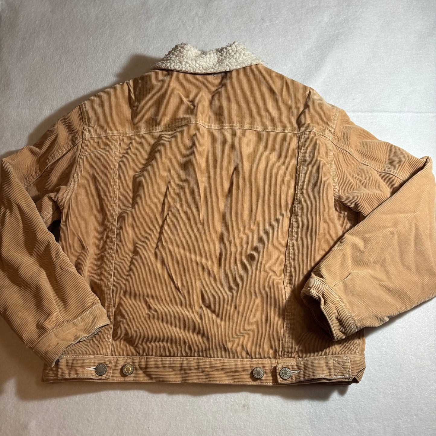 Women's Jacket Medium