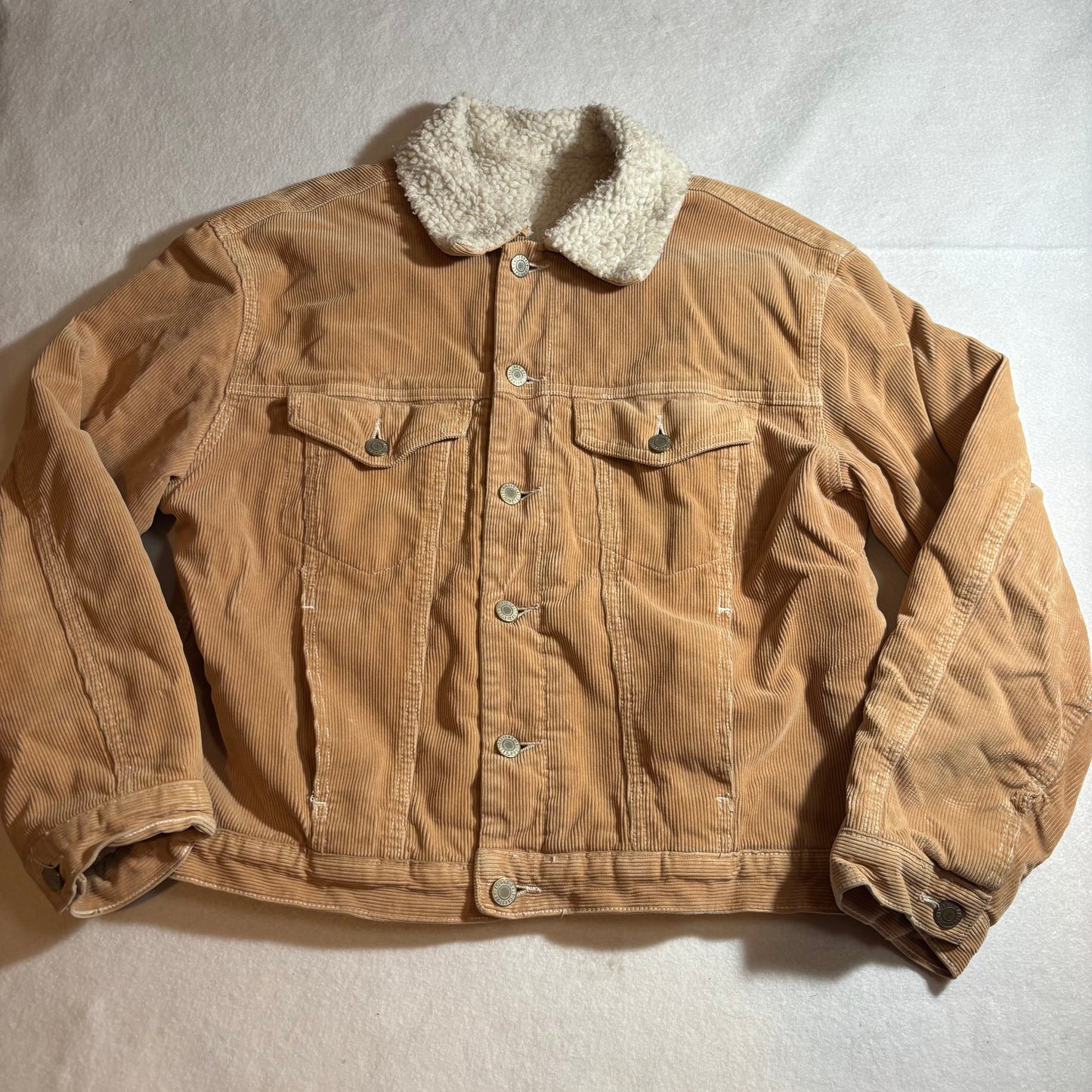 Women's Jacket Medium