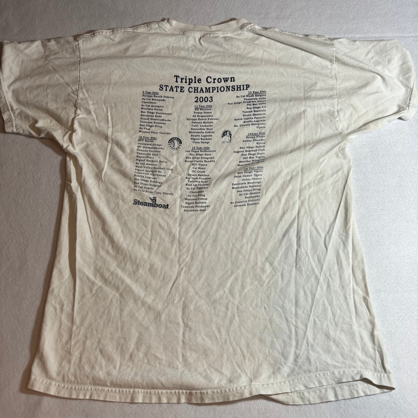 Men's Shirt Large