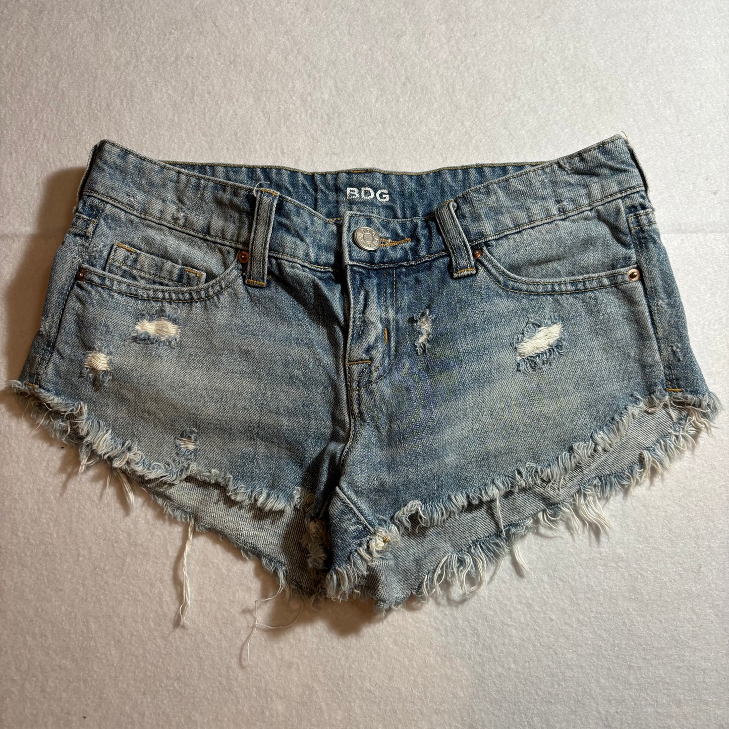 Women's Shorts 24
