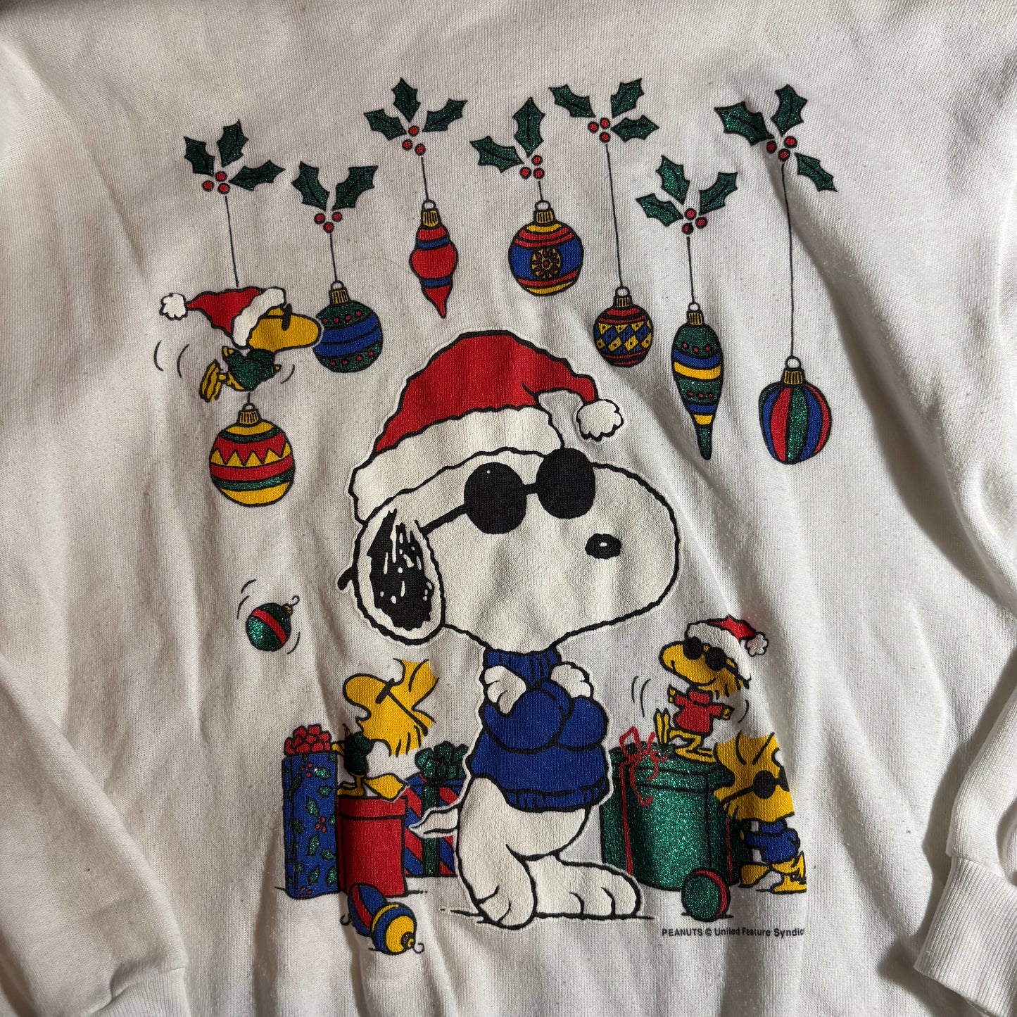 Men’s Sweatshirt Large